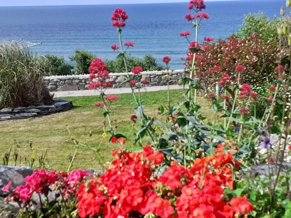 Talarfor Barmouth Vila Exterior foto